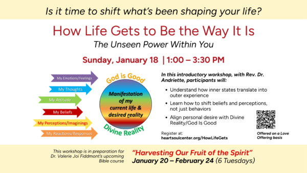 How Life Gets to Be the Way It Is